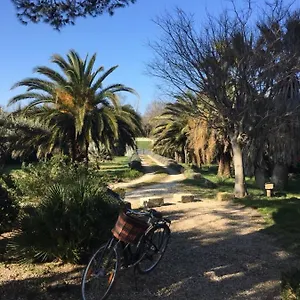  Maison d'hôtes L'oasis En Provence